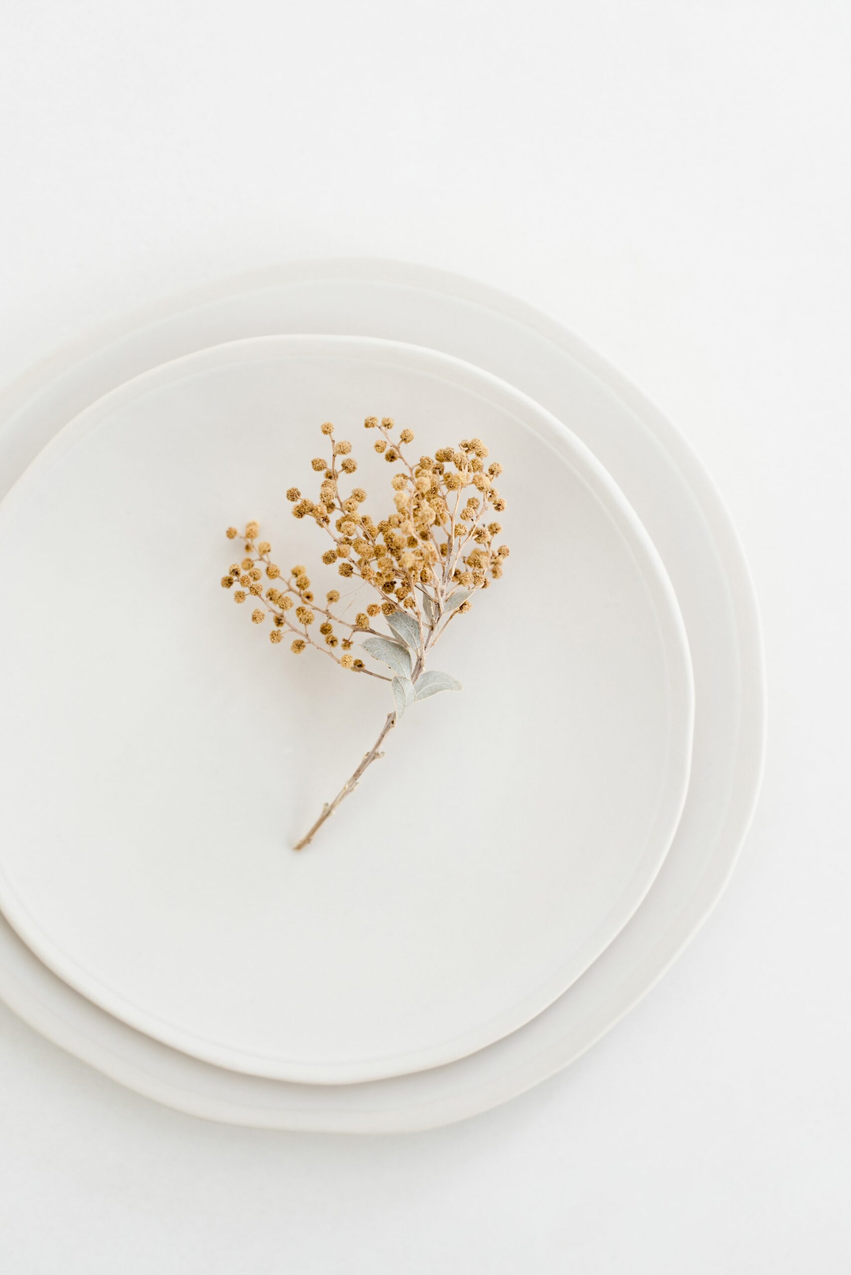 Minimalistisch gedeckter Tisch mit softweißem Steingutgeschirr